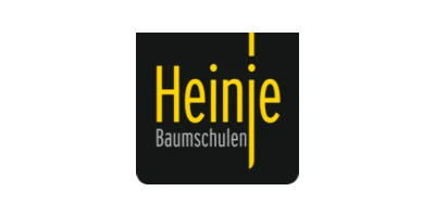 Logo Diderk Heinje Pflanzenhandelsges. mbH & Co. KG